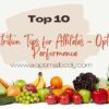 10 Expert Nutrition Tips for Athletes' Optimal Performance